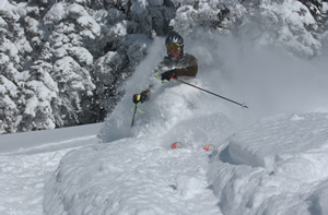 From Huffington Post to huffing powder, Vail is all over the Net
