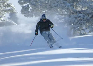 30 inches in 36 hours, ringing the NYSE opening bell at the Beav, green skiing and wolf watching