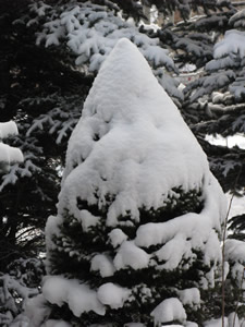 Storm finally deposits some white stuff