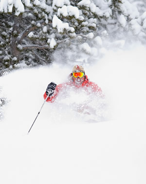 Finding the powder will be less expensive in 2008-2009, so long as you know where to go and which pass to buy. 