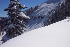 Curiosity and Vail's Backcountry Gates