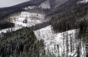 A helicopter (visible just left of center of the photo) pulls dead timber from a defensible space which was recently created around a West Vail neighborhood as part of the Vail Valley Forest Health Project. But don't look for this kind of forest management - which would create more ski acerage - on Vail Mountain anytime soon, officials say. 