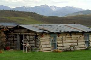 Scenic 4 Eagle Ranch four miles north of Wolcott in the Vail Valley has long been known as a great place to spend the day reliving the Wild West, but now guests can stay overnight in Tom's Tent.