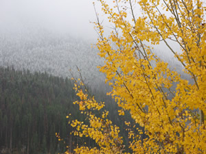 Sloppy storm dumps on Colorado ski country