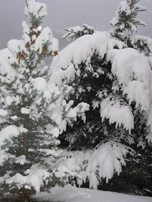 Rocktober snowstorm pastes Vail Valley