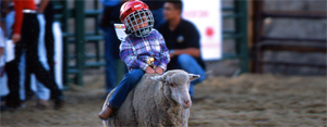 The Beaver Creek Rodeo, which includes the ever-popular mutton-bustin’ children’s event, gets under way each Thursday starting June 12.
