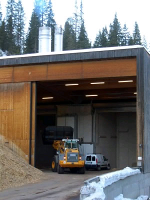 Vail is backing a Connecticut company's bid to get $30 million in Department of Energy funding to build a biomass power plant like this one in Lech, Austria.