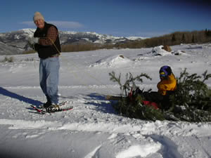 Nick Williams, right, gets a ride on his prize tree from his grandfather, Bob Kenney.