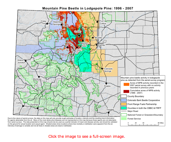 The U.S. Forest Service map shows the extent of the mountain pine beetle epidemic that has ravaged