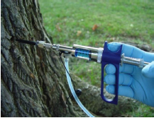 Repellent injection systems like this one could be used in the battle against the mountain pine bark beetle epidemic that has ravaged Colorado's forests, but the technique must first win EPA approval.