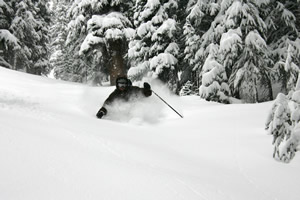 Reading the snow-report tea leaves can mean the difference between snorkel snow like this at A-Basin recently or skiing boilerplate somewhere else.