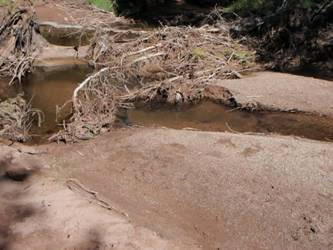 This 2007 shot shows all the traction sand from Interstate 70 that had accumulated in Black Gore Creek atop Vail Pass. Recent cleanup efforts have virtually cleared the creek.