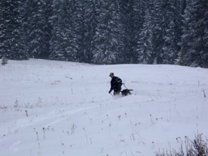 Shrine Mountain, Vail Pass almost ready for prime time