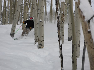 Epic conditions on Vail Mountain