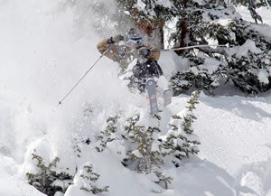 John Buckley, formerly of Vail, now of South Korea, blasts through some low-lying foliage at Silverton.