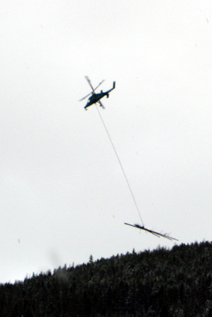 Removing lodgepole pine trees killed by mountain pine beetles using a helicopter (shown here in the Matterhorn neighborhood last fall) is just one tool in the battle against the beetle infestation. Vail officials hope a new repellant injection will help them save thousands of healthy trees.