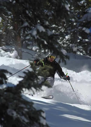 Tree-skiing scenes like this one at Beaver Creek will change dramatically over the next decade as the White River National Forest is massively transformed by a massive mountain pine beetle epidemic.