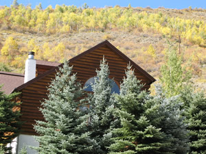 Our Vail cabin in the woods.